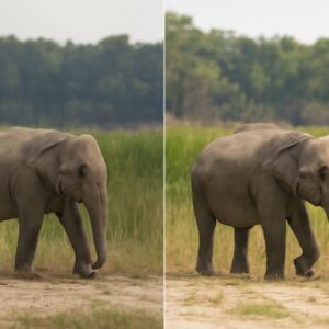 What is Matte Photo Paper and Its Uses