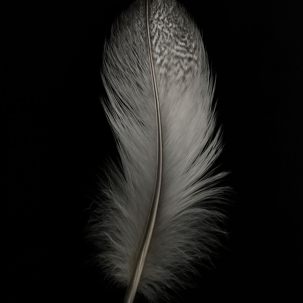 Black and white feather and black and white candles in design