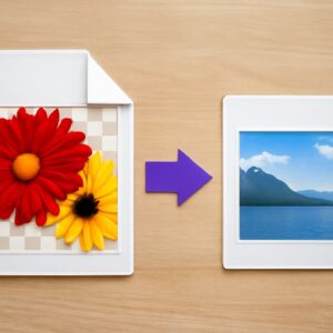 JPG to PNG Converter: A Clear Way to Prepare an Image